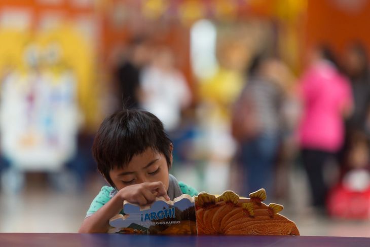 Nueva ley de los derechos de niños y adolescentes de Yucatán presenta deficiencias: Redim